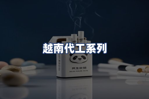 越南代工系列